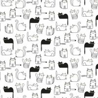 ttCAT-CD2571 WHITE